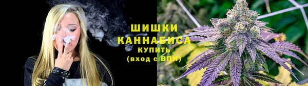 apvp Арсеньев