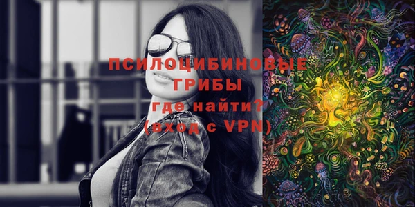apvp Арсеньев