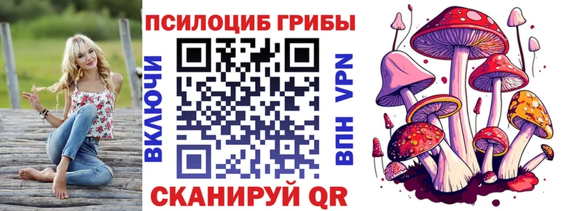 ОМГ ОМГ как зайти Тетюши Псилоцибиновые грибы Psilocybine cubensis