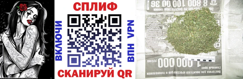 блэк спрут   Тетюши  МАРИХУАНА ГИДРОПОН 